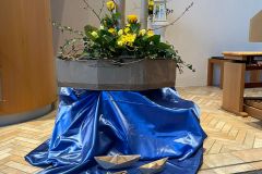 IMG-20250218-WA0000